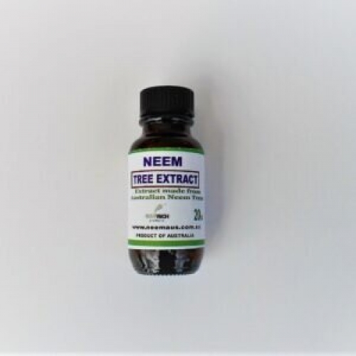 Neem Tree Extract (Tincture) 20ml (.68 fl ozs)
